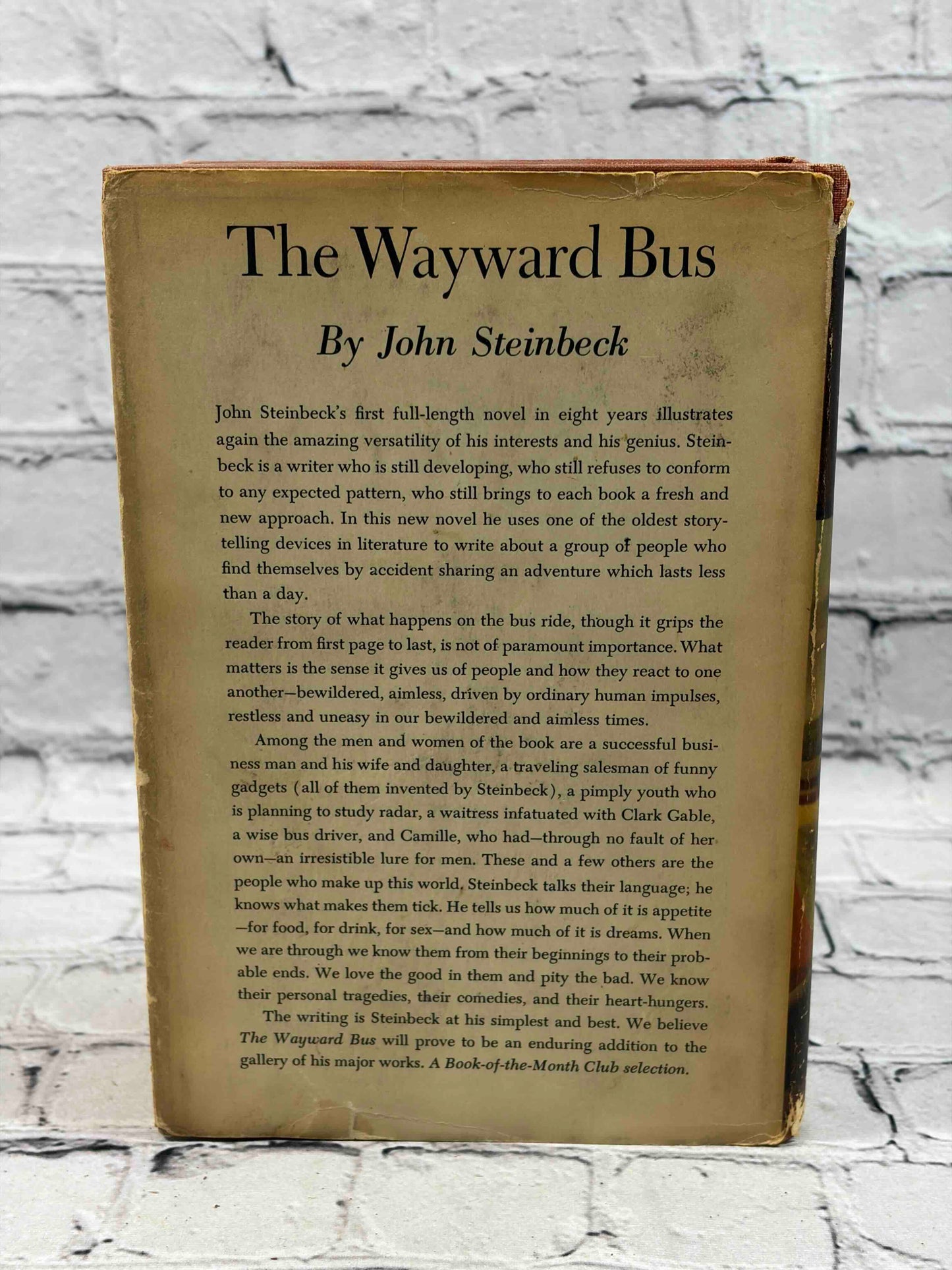 The Wayward Bus