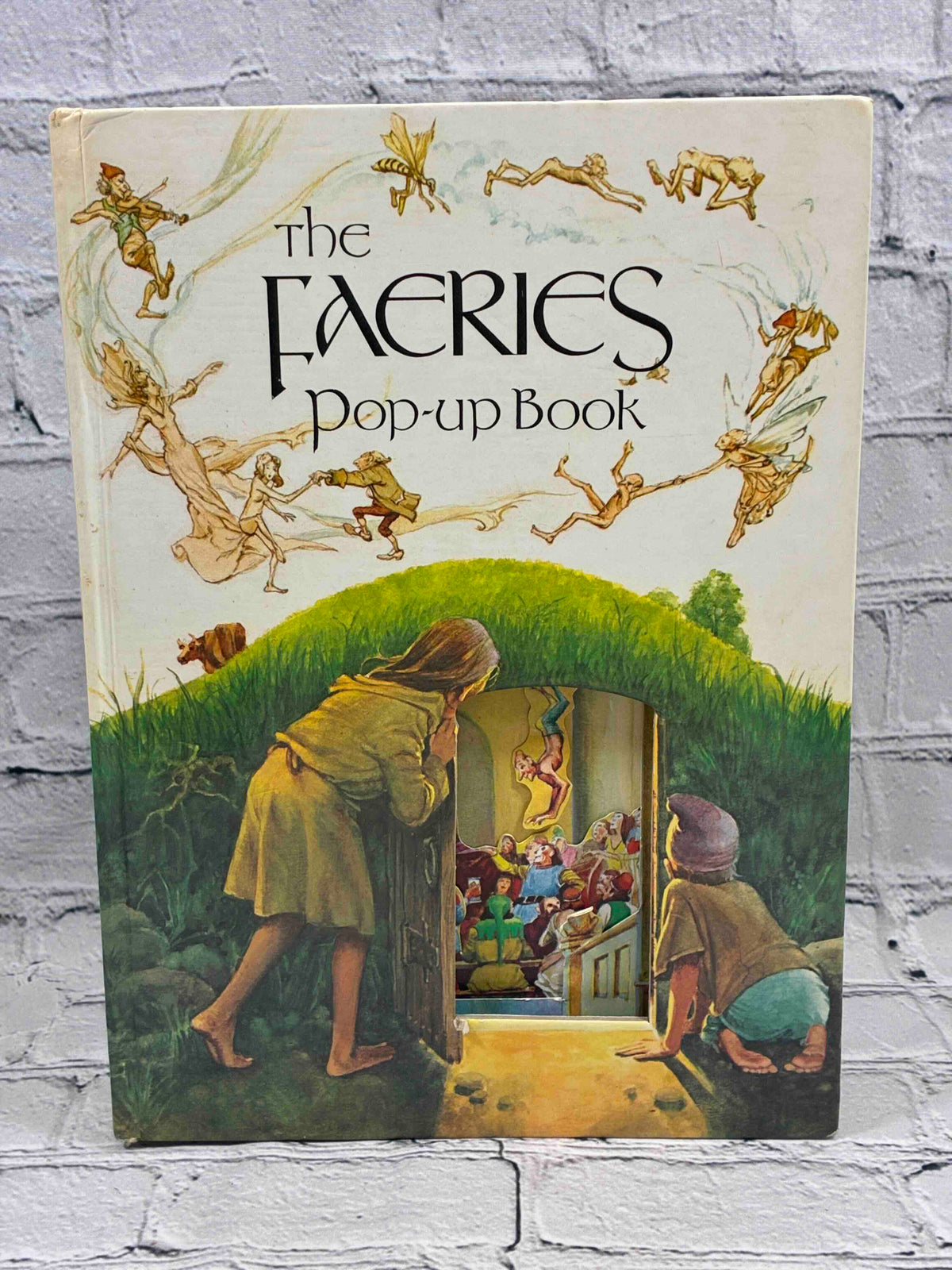 The Faeries Pop-up Book by Brian Froud and Alan Lee, Kestrel Books - front board