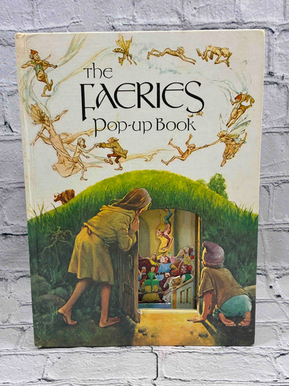 The Faeries Pop-up Book by Brian Froud and Alan Lee, Kestrel Books - front board