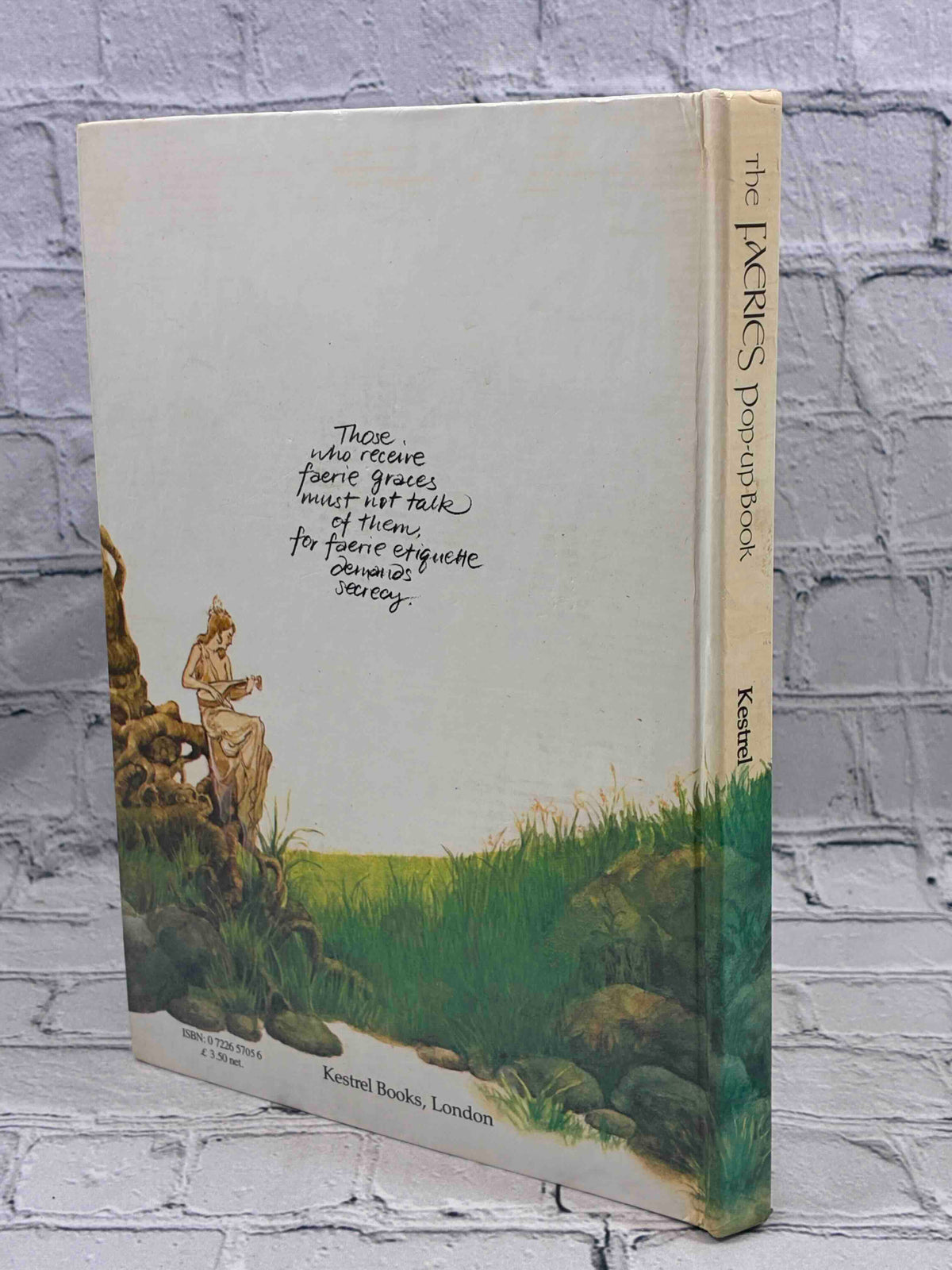 The Faeries Pop-up Book by Brian Froud and Alan Lee, Kestrel Books - rear board and spine