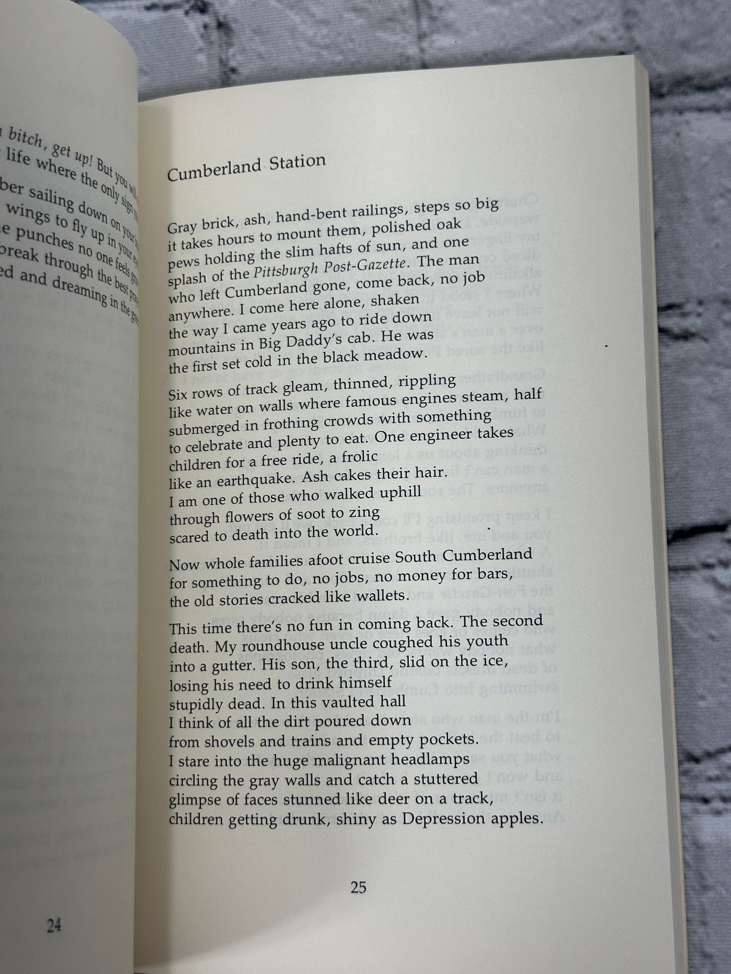 Cumberland Station Poems By Dave Smith [1979 · 2nd Print]