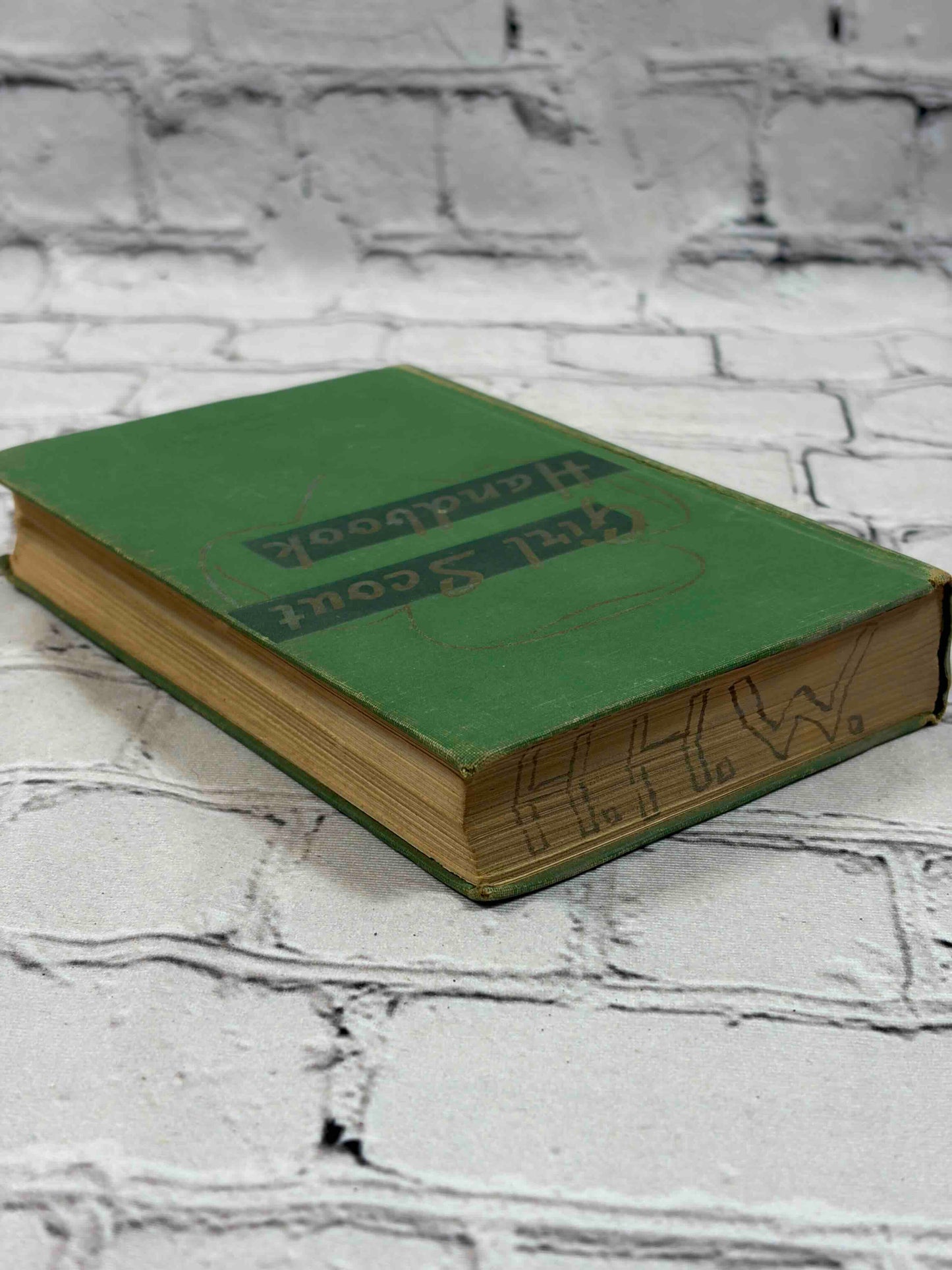 Girl Scout Handbook Intermediate Program