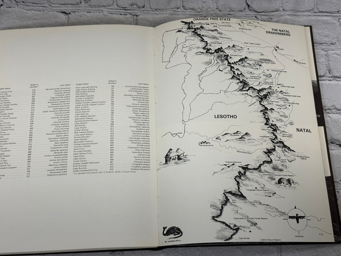 A Cradle of Rivers The Natal Drakensberg by David A Dodds [1978]