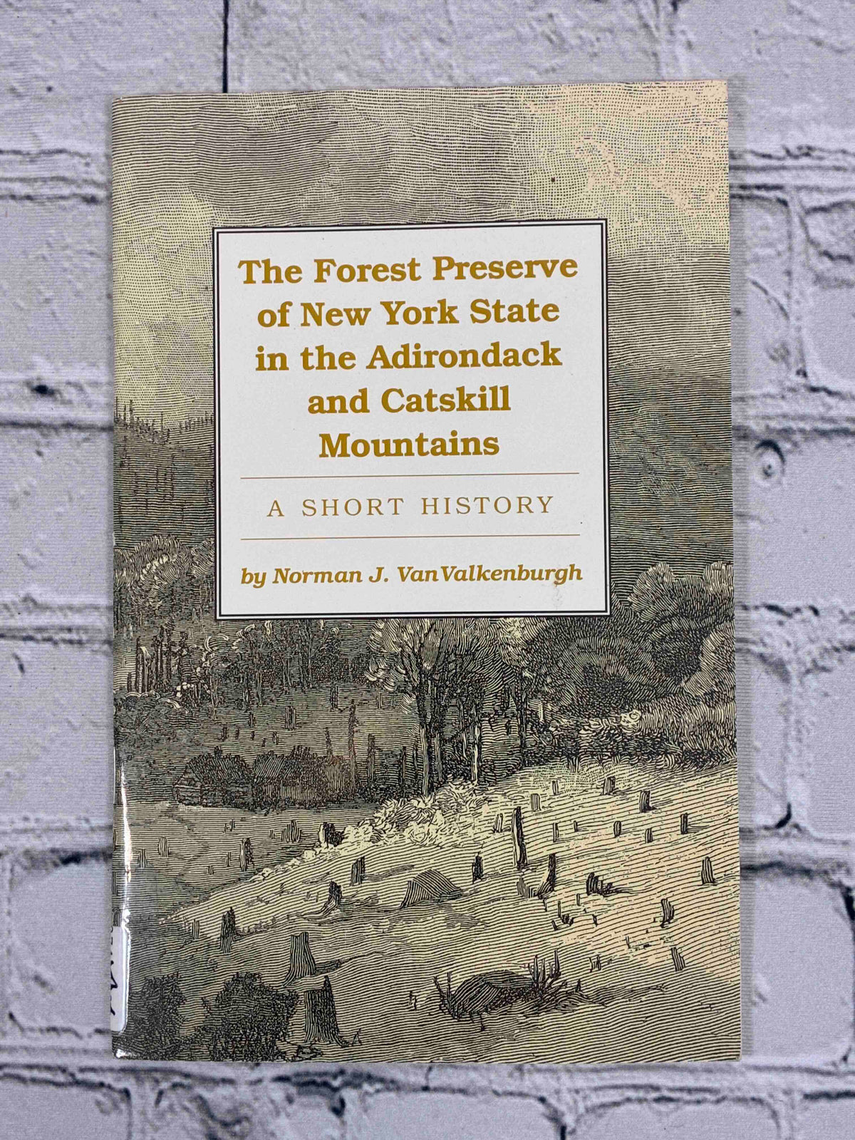The Forest Preserve of New York State in the Adirondack and Catskill Mountains by Norman J. VanValkenburgh, 1996 Purple Mountain Press paperback - front cover