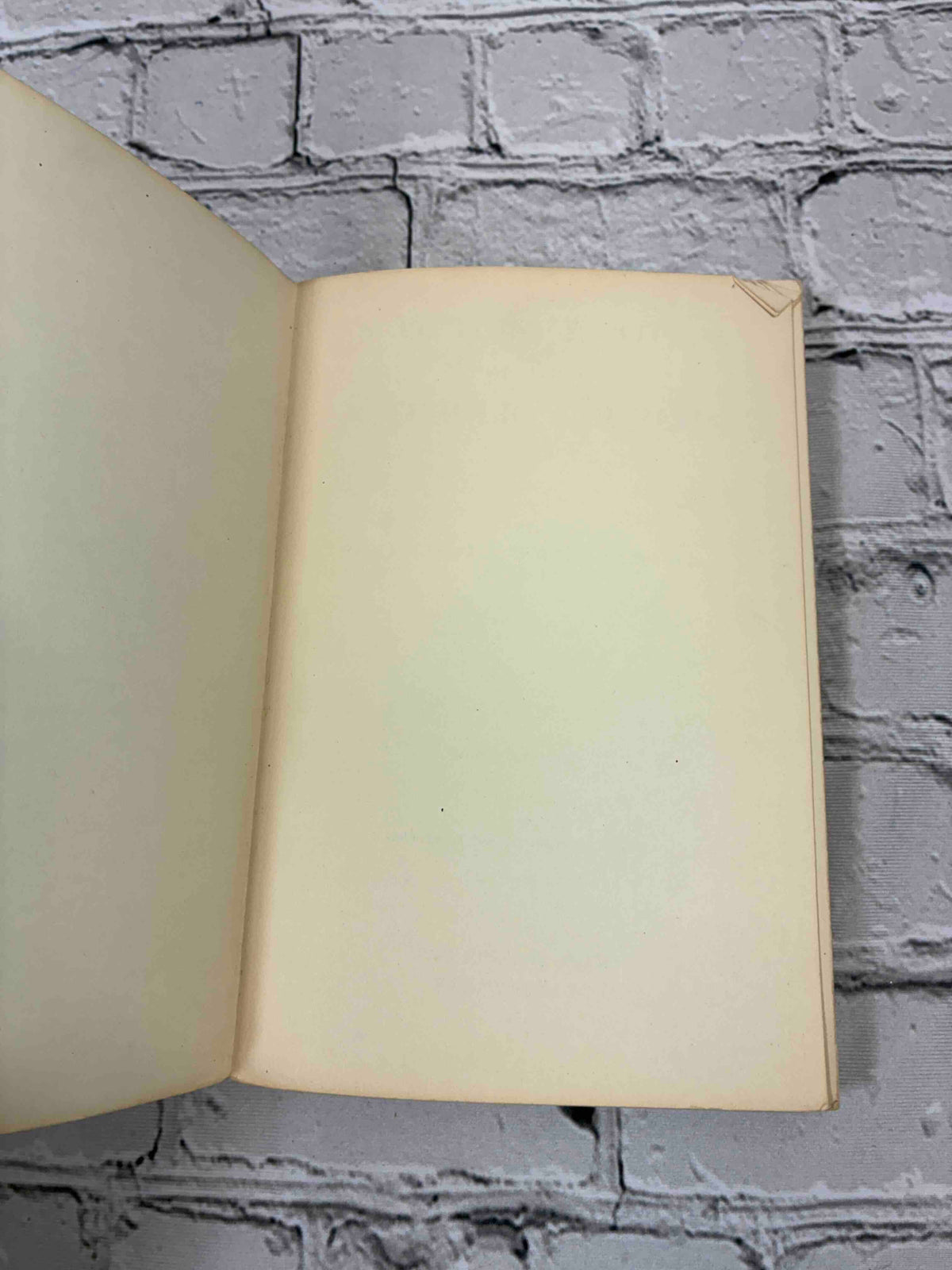 An Outline History of the Catholic Church Vol. II by Reginald F. Walker, 1954 Newman Press paperback - first blank page