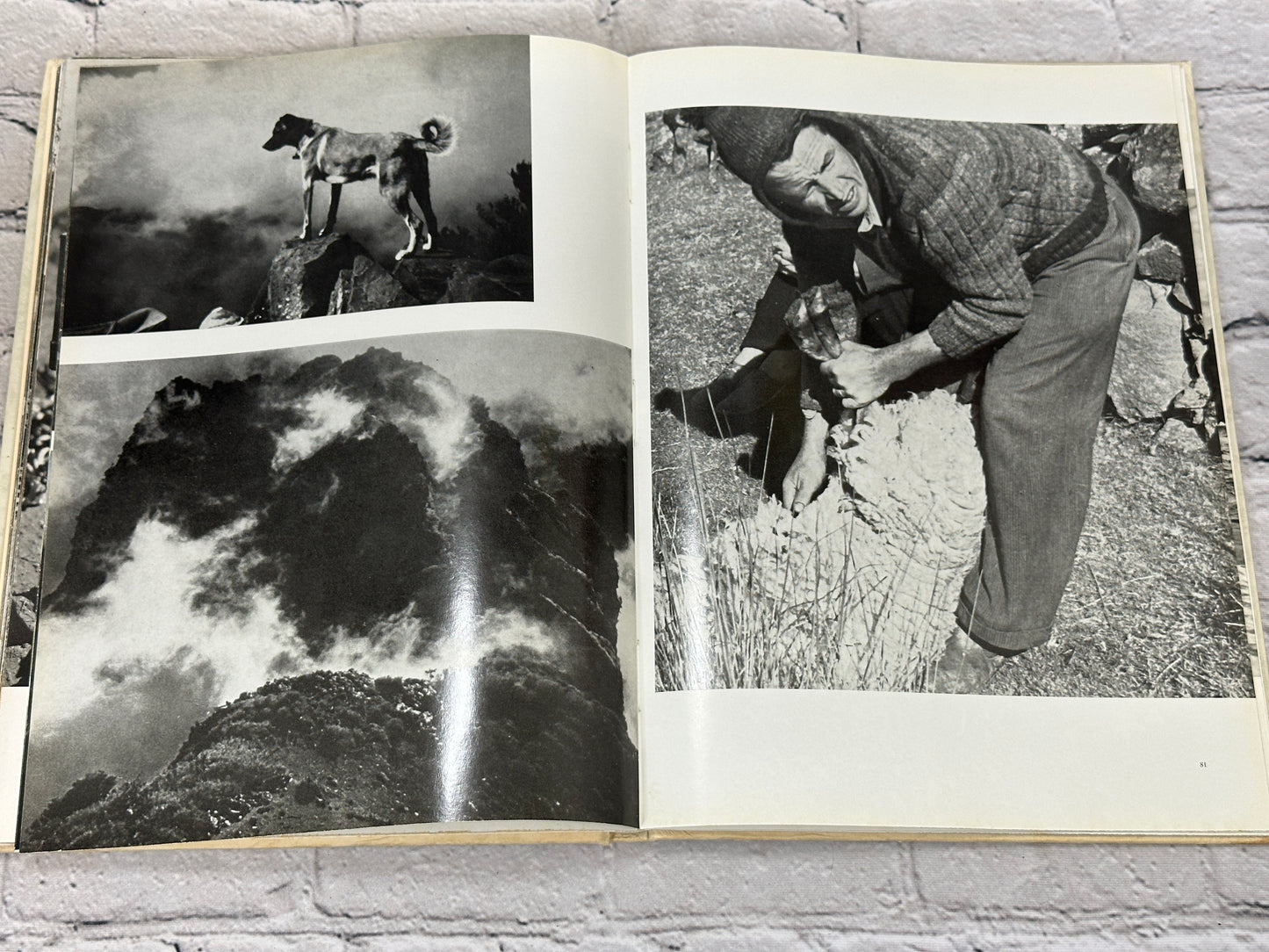 Madeira by Dr. Frederic P. Marjay [1969]