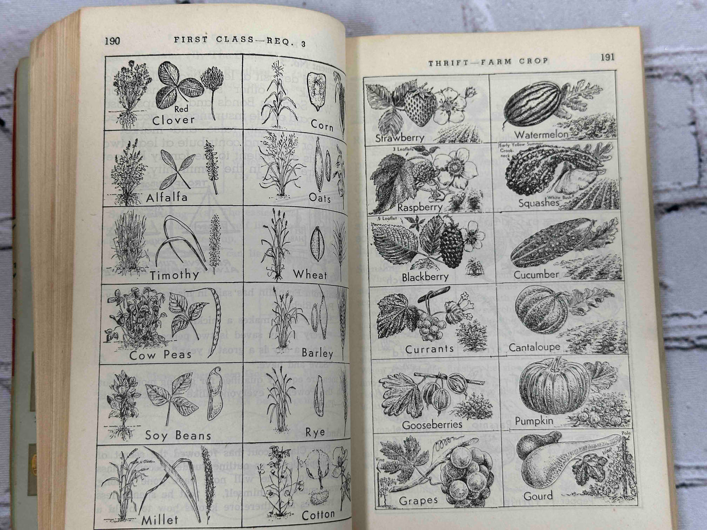 Boy Scouts of America: Handbook for Boys