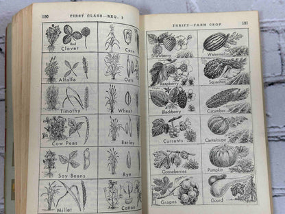 Boy Scouts of America: Handbook for Boys