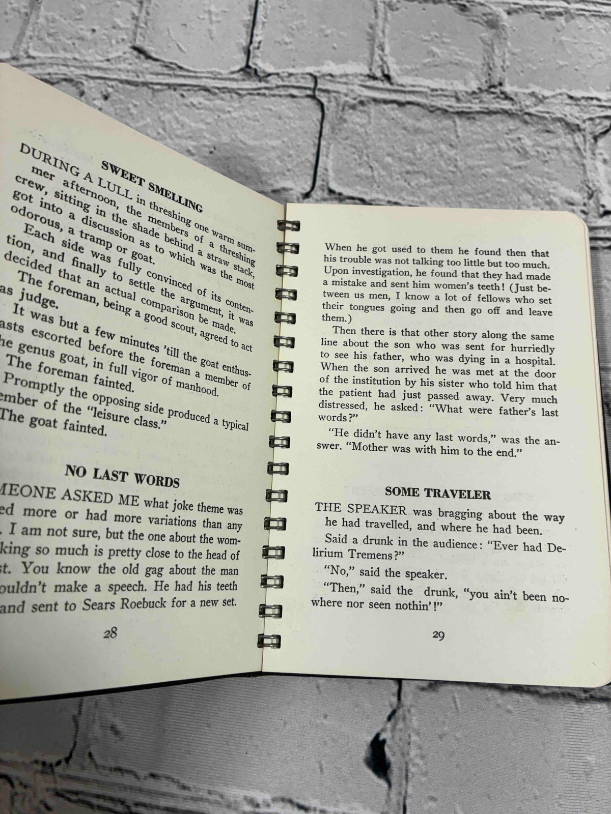 Eastman's Chestnuts Volume Number 2 by E. R. Eastman, American Agriculturist spiral bound - sample pages 28-29