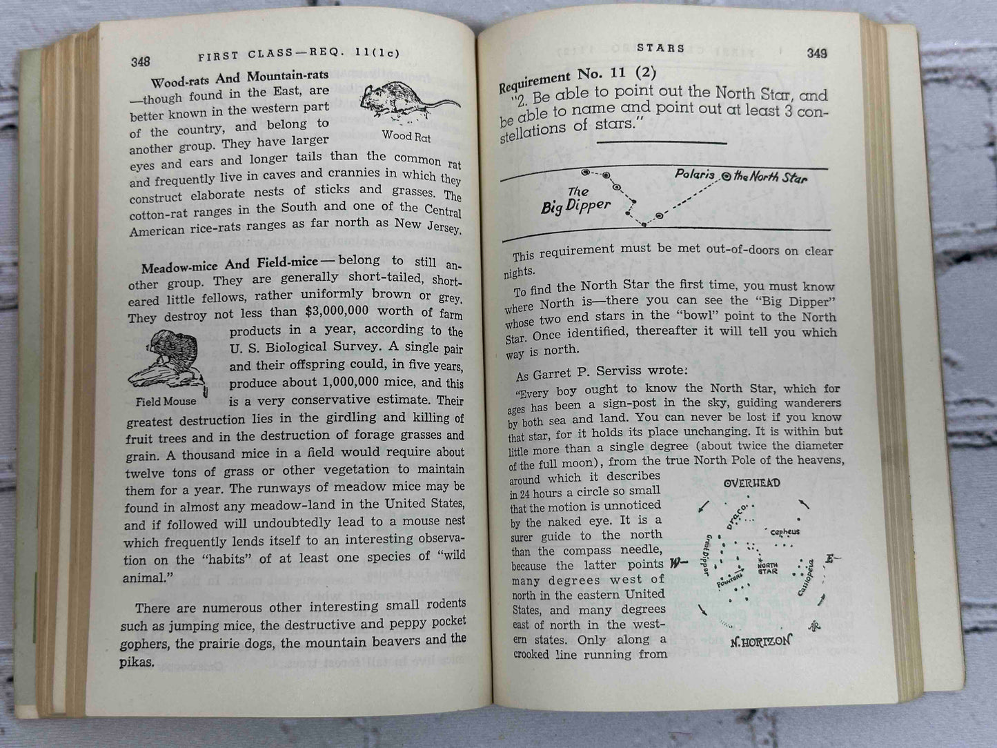 Boy Scouts of America: Handbook for Boys