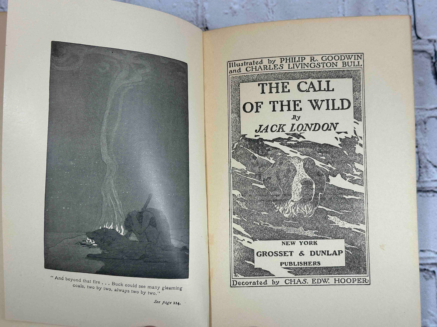 The Call of the Wild