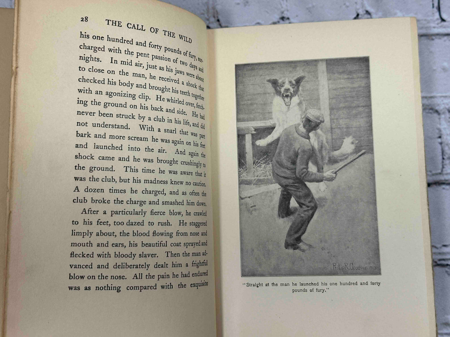 The Call of the Wild