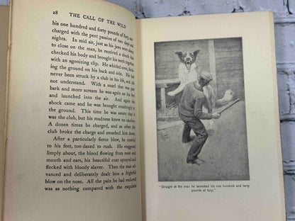 The Call of the Wild