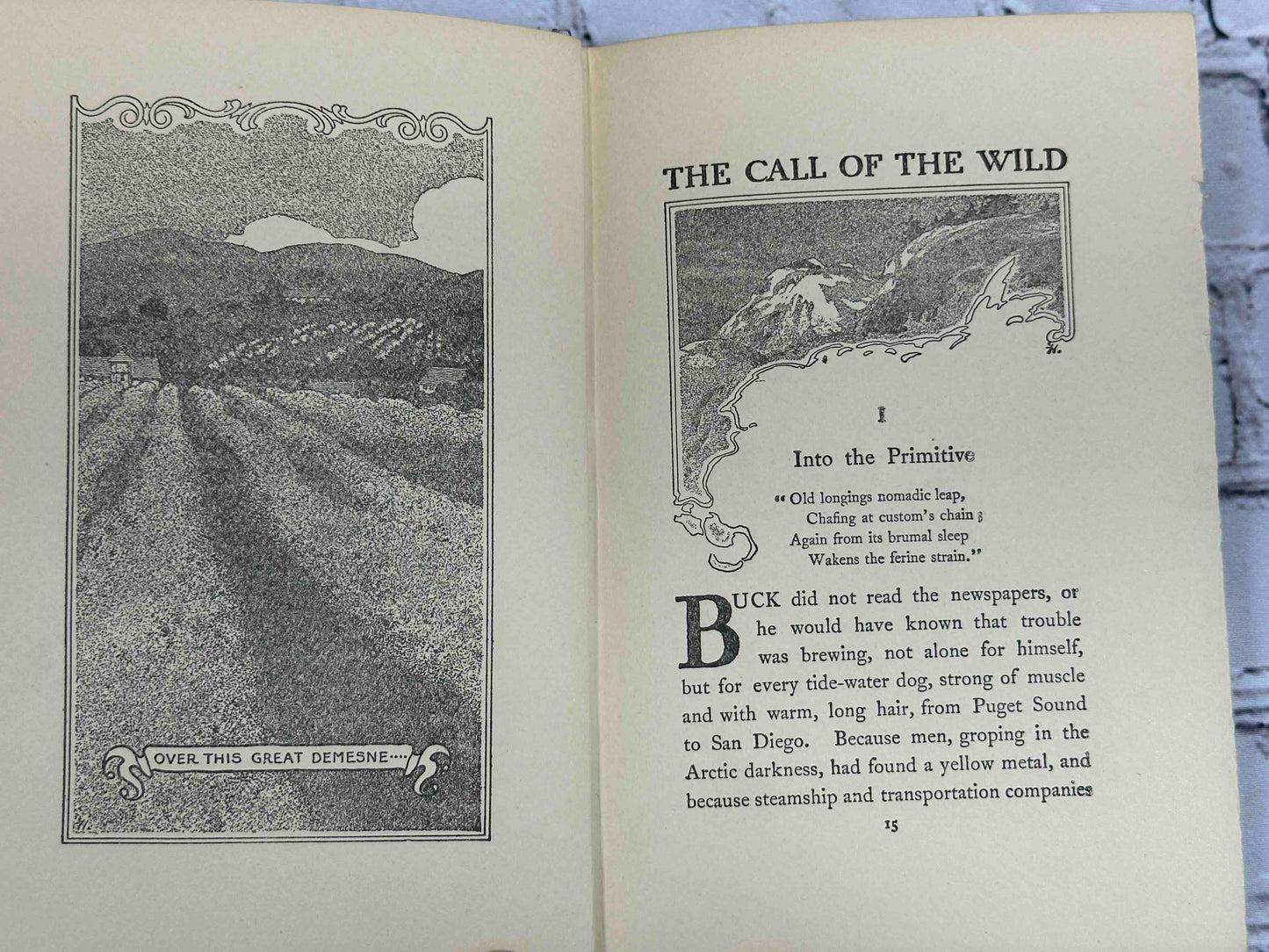 The Call of the Wild