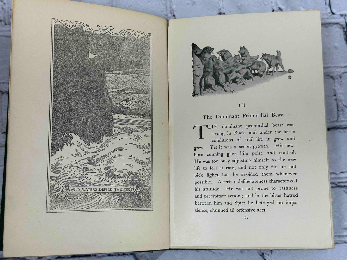 The Call of the Wild