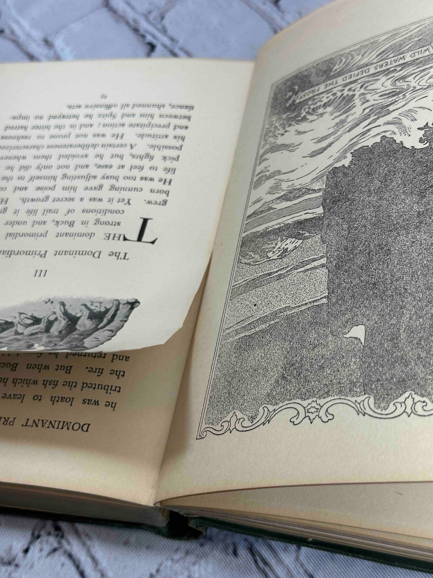 The Call of the Wild