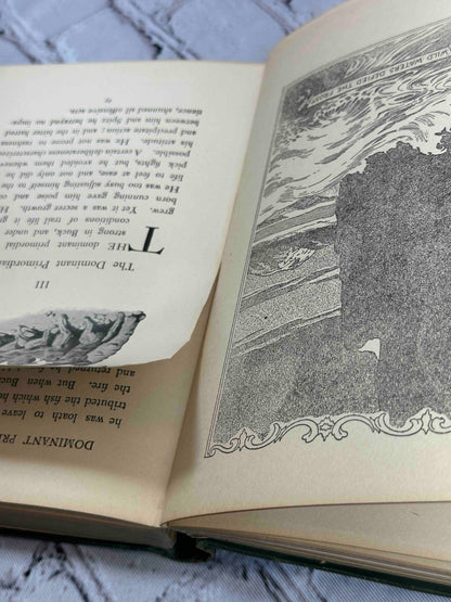 The Call of the Wild