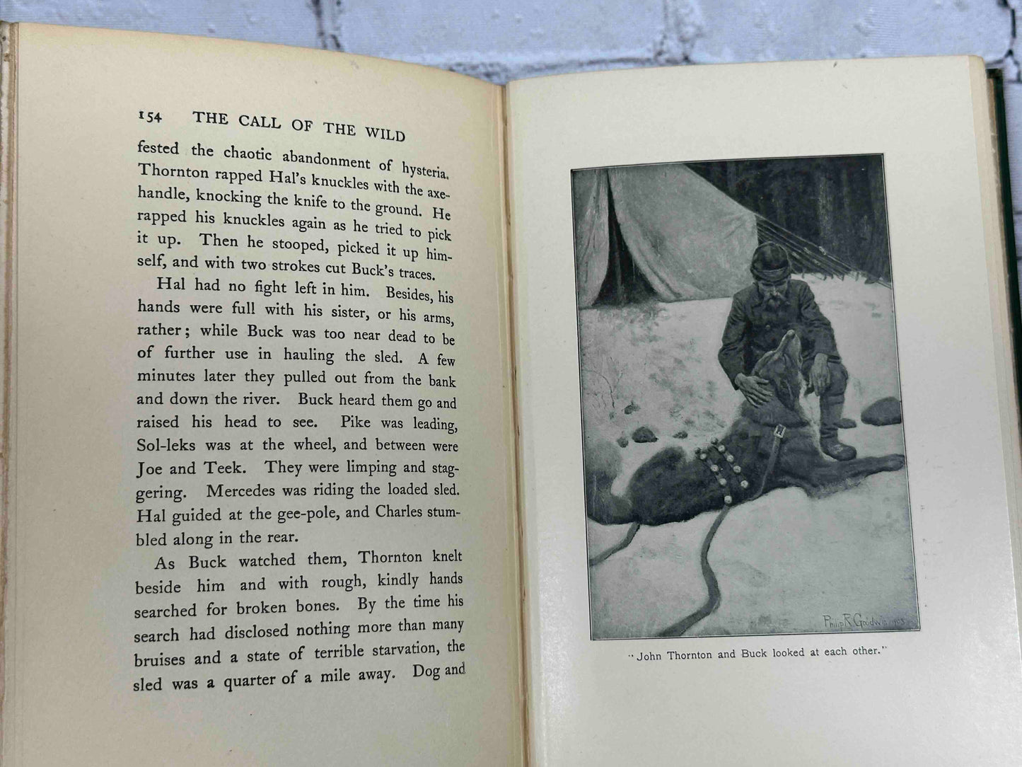 The Call of the Wild