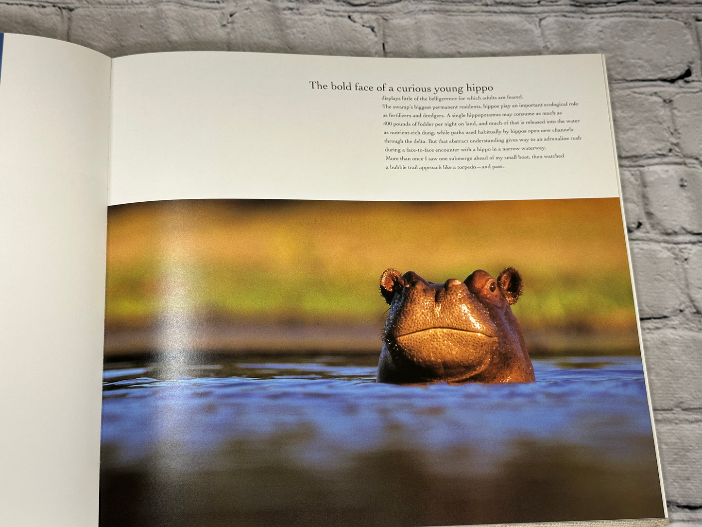 Okavango Africas Last Eden By Frans Lanting [1993 · First Edition]