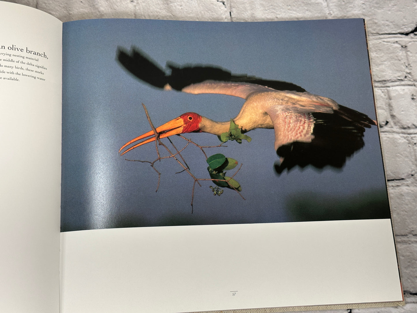 Okavango Africas Last Eden By Frans Lanting [1993 · First Edition]