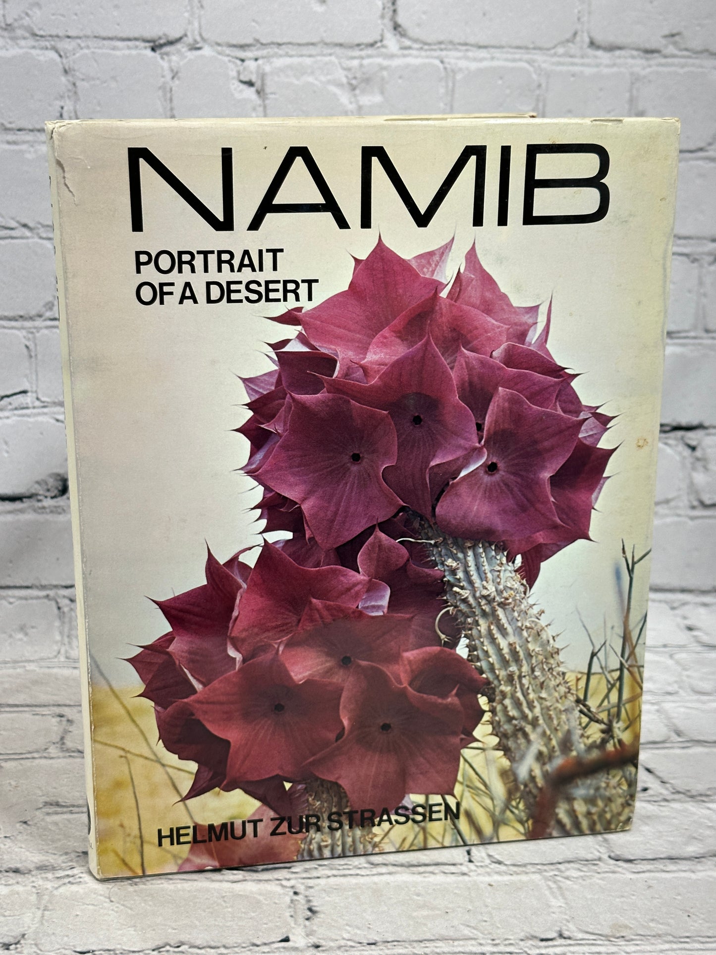 Namib: Portrait of a Desert by Helmut Zur Strassen [1974]