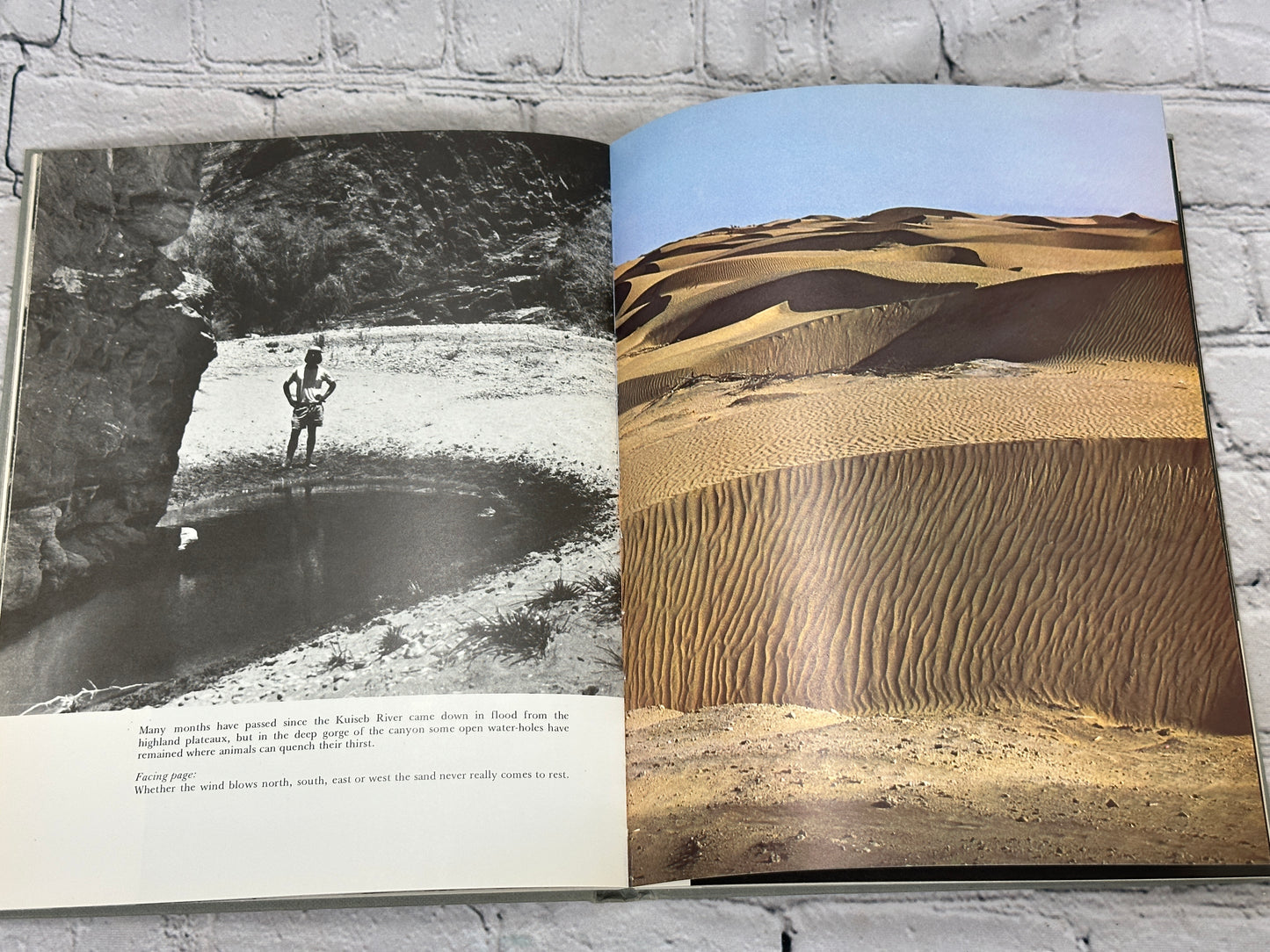 Namib: Portrait of a Desert by Helmut Zur Strassen [1974]