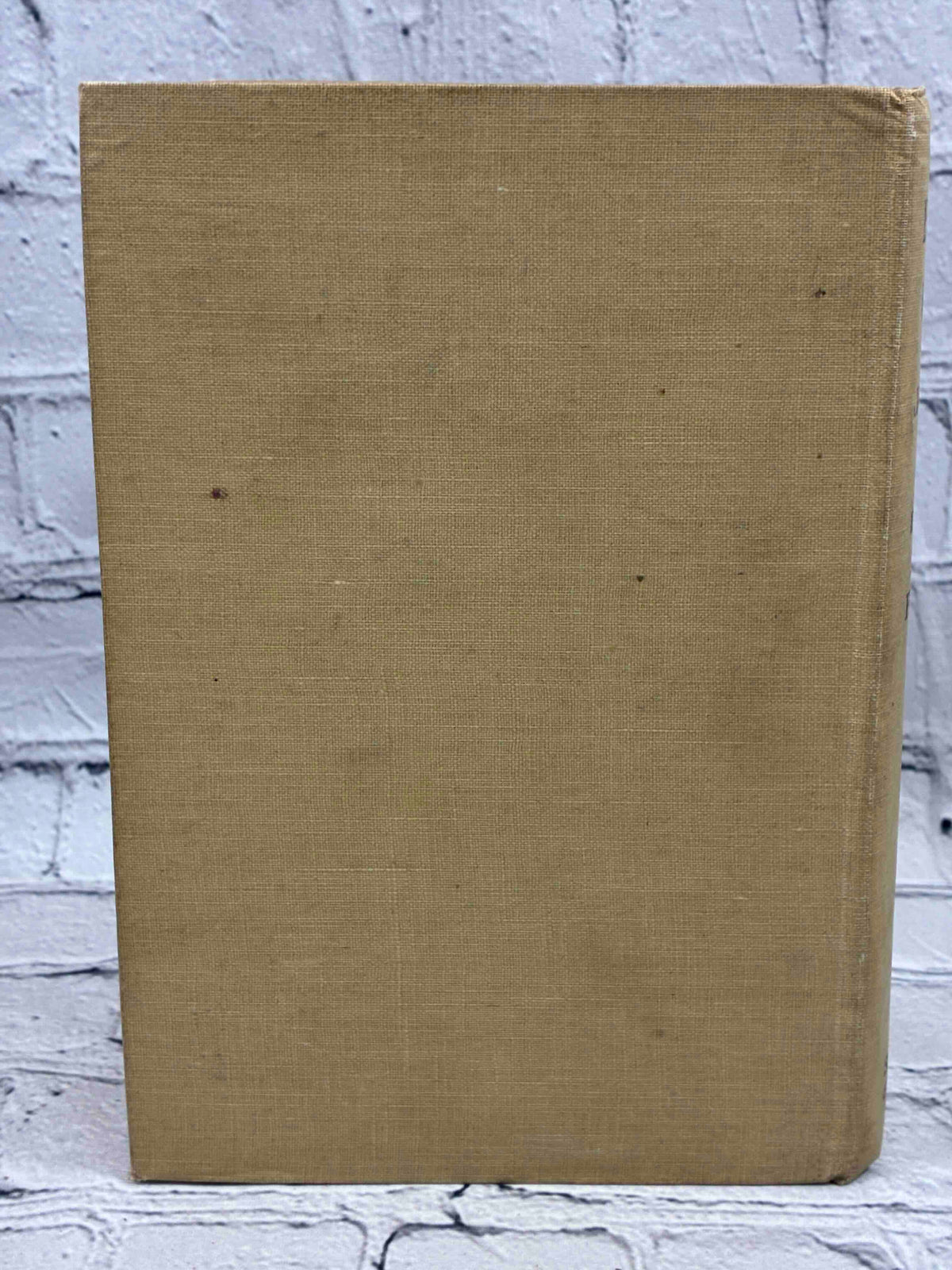 Edinburgh Revisited by James Bone, 1913 Sidgwick & Jackson hardcover - back cover