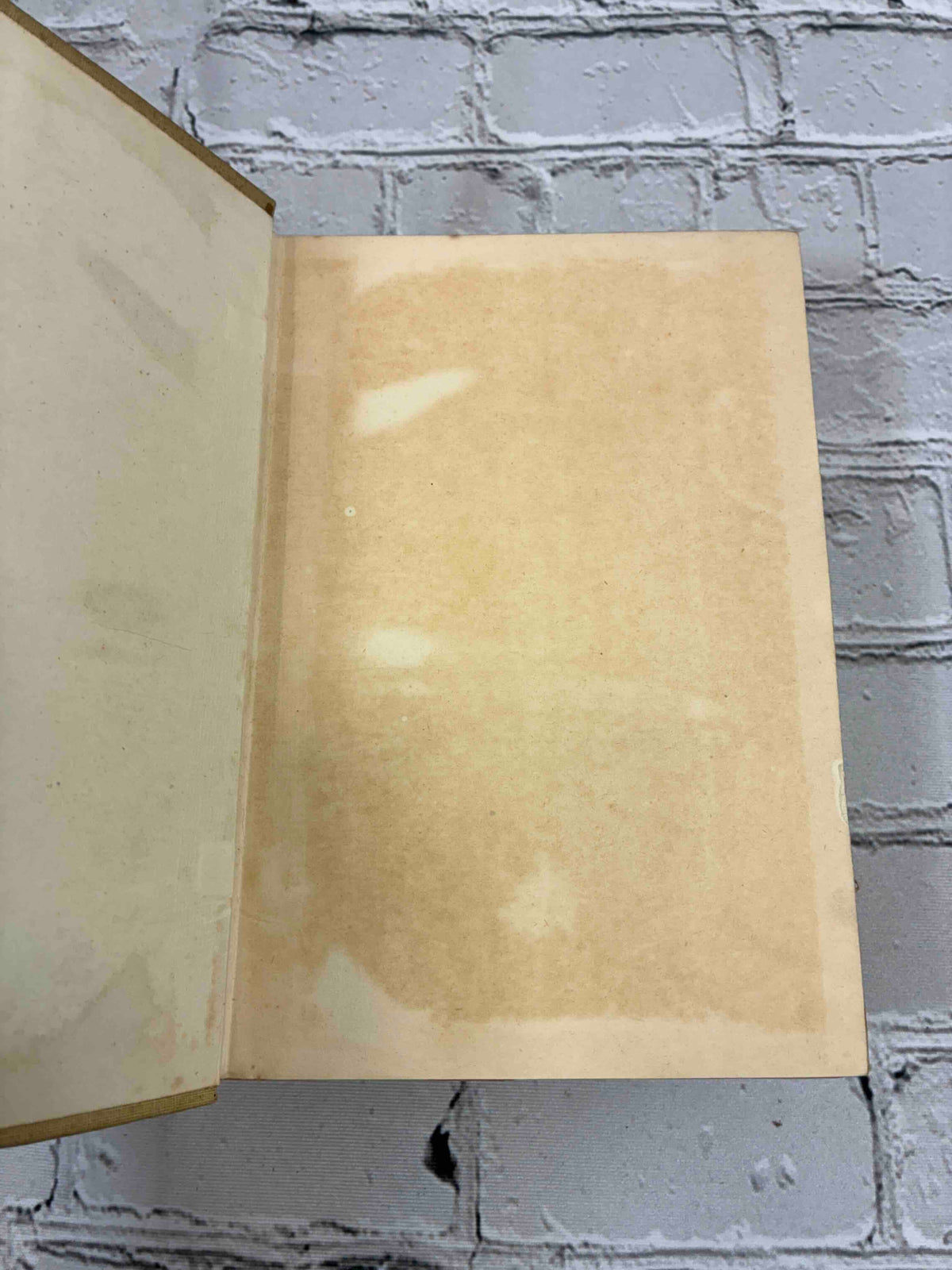 Edinburgh Revisited by James Bone, 1913 Sidgwick & Jackson hardcover - stained front free endpaper