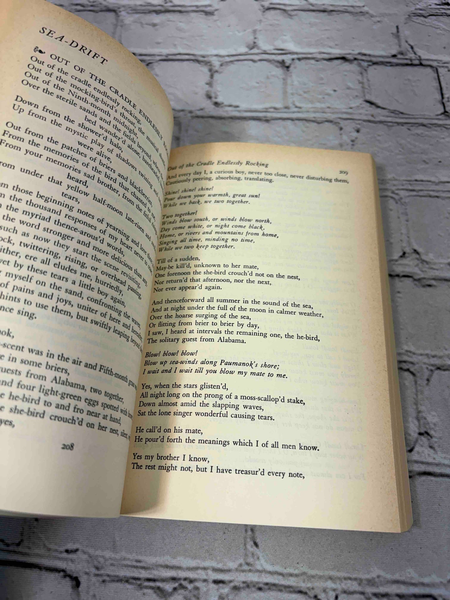 Leave of Grass, and Selected Prose
