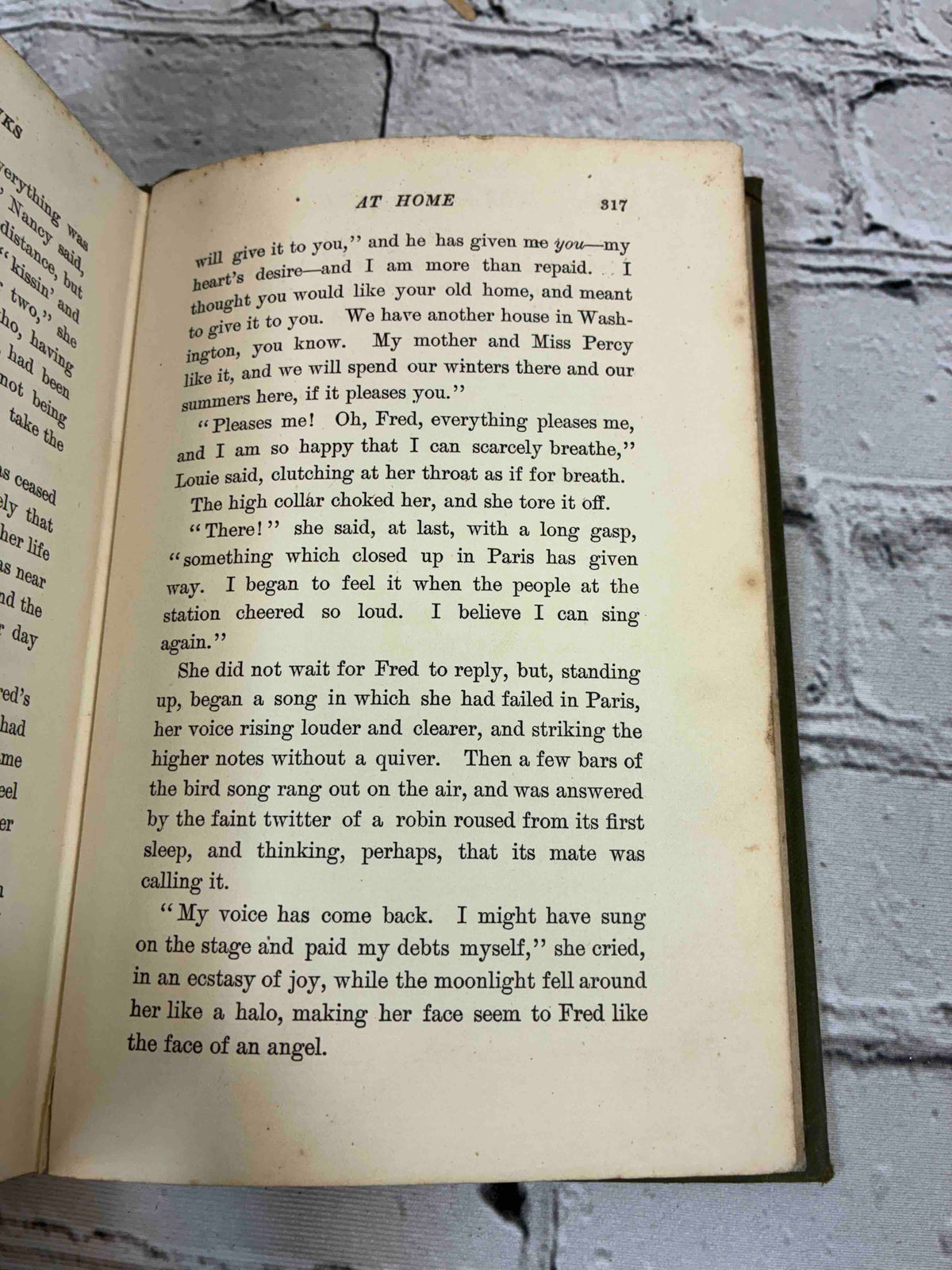 The Merivale Banks by Mary J. Holmes, 1903 G. W. Dillingham hardcover - sample page 317