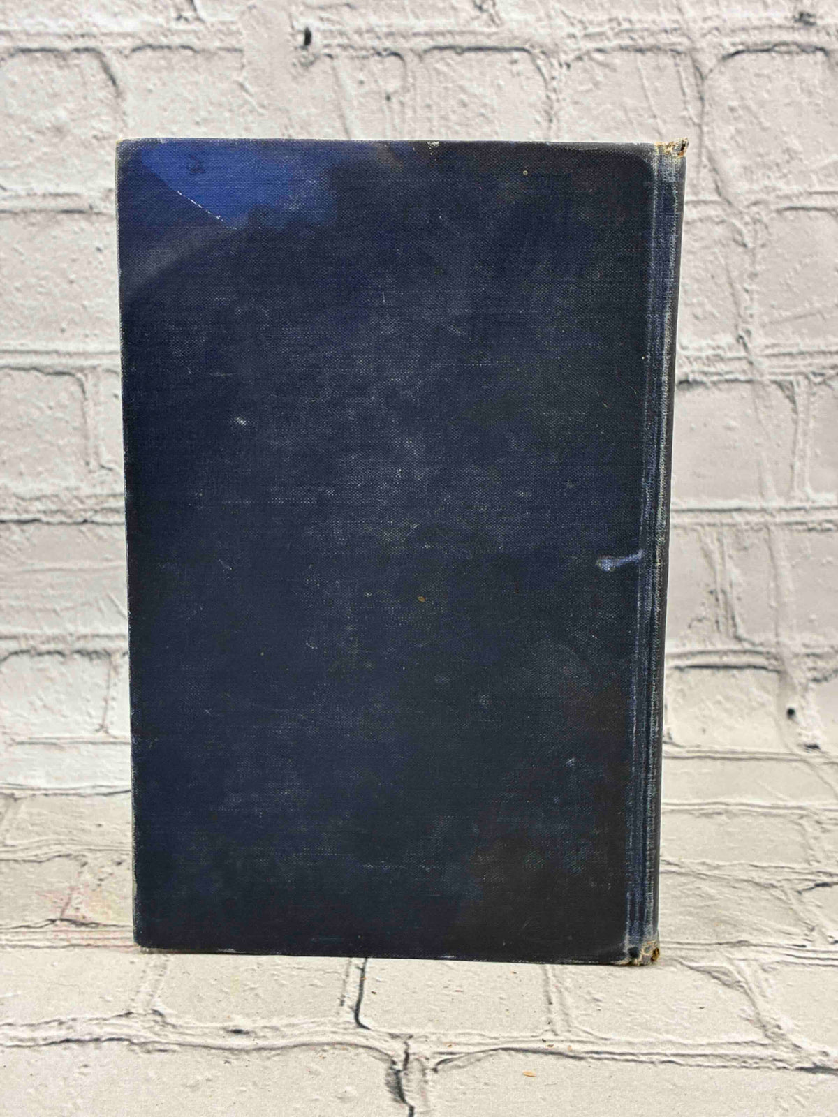 The Ruling Passion by Henry van Dyke, 1904 Scribner hardcover - back cover