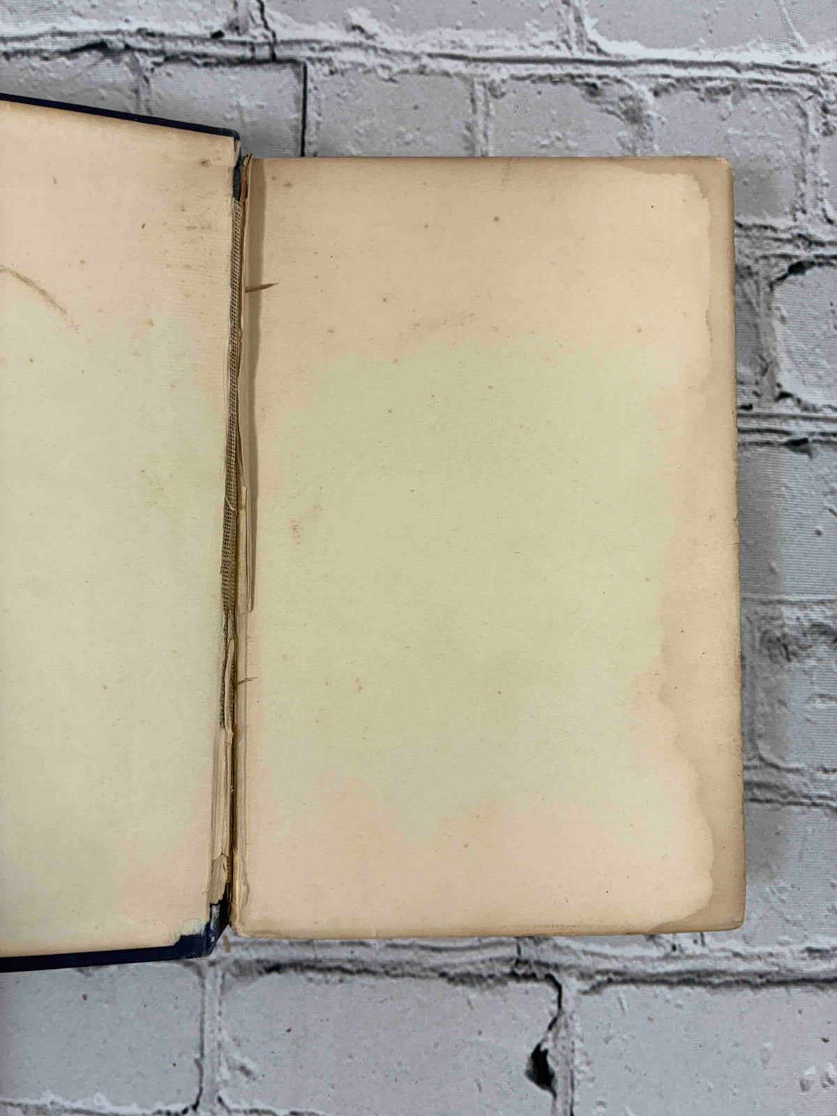 The Ruling Passion by Henry van Dyke, 1904 Scribner hardcover - front pastedown and cracked front hinge