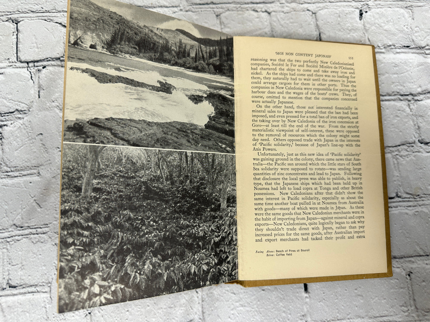 Pacific Treasure Island New Caledonia by Wilfred Burchett [1942 · 2nd Edition]