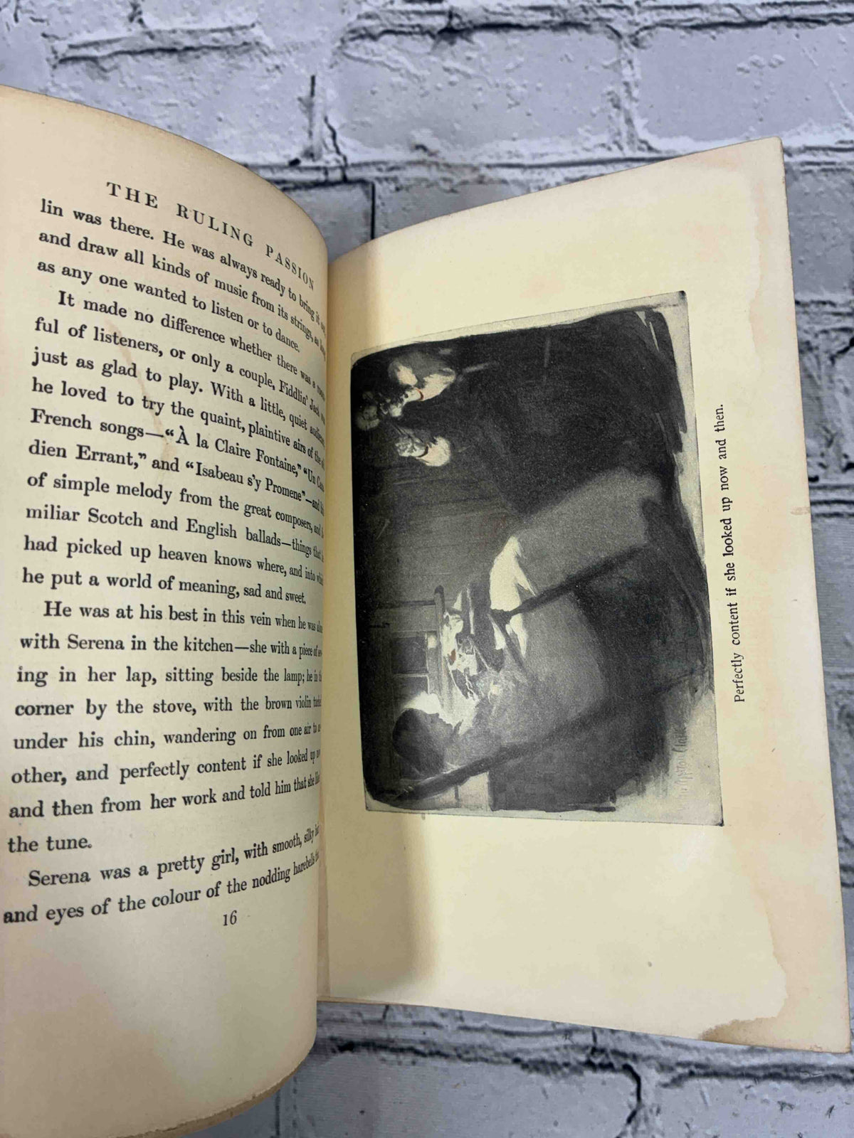 The Ruling Passion by Henry van Dyke, 1904 Scribner hardcover - illustration 'Perfectly content if she looked up now and then'