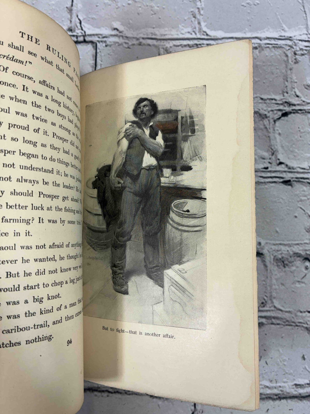 The Ruling Passion by Henry van Dyke, 1904 Scribner hardcover - illustration 'But to fight - that is another affair'