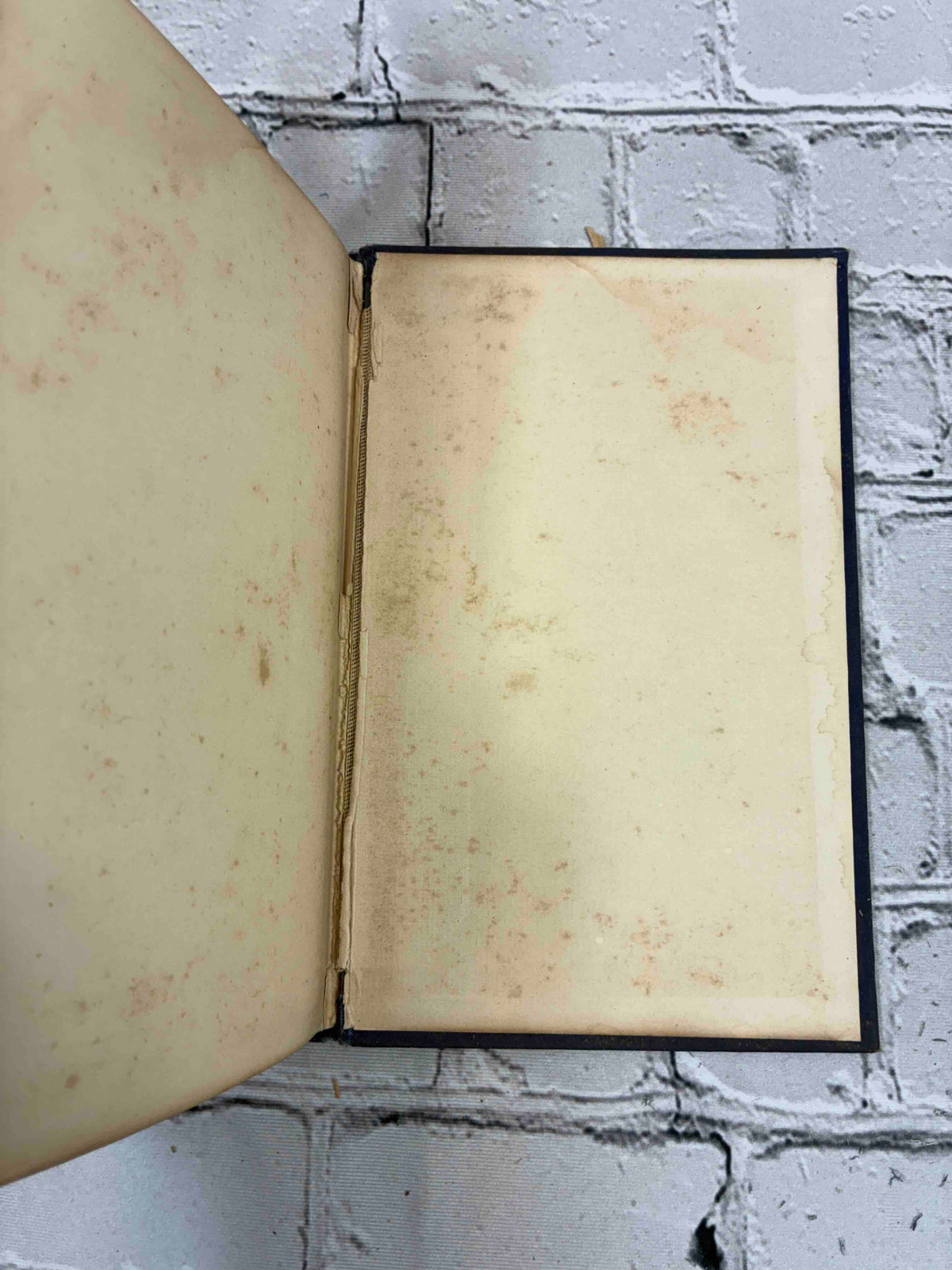 The Ruling Passion by Henry van Dyke, 1904 Scribner hardcover - rear endpapers