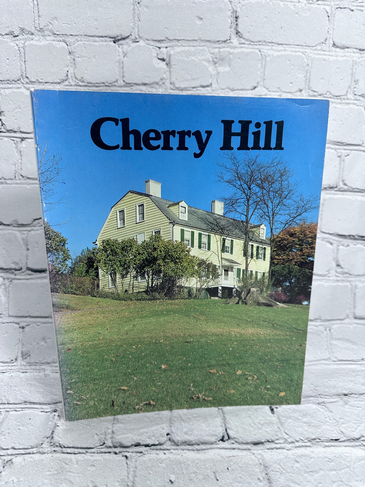 Cherry Hill by Roderic H. Blackburn [Van Rensselaer Collection · 1976]