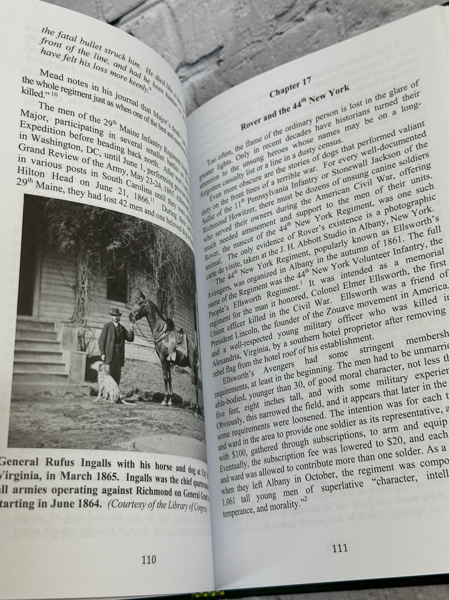 Loyal Hearts, Histories of American Civil War Canines by Michael Zucchero (2013)