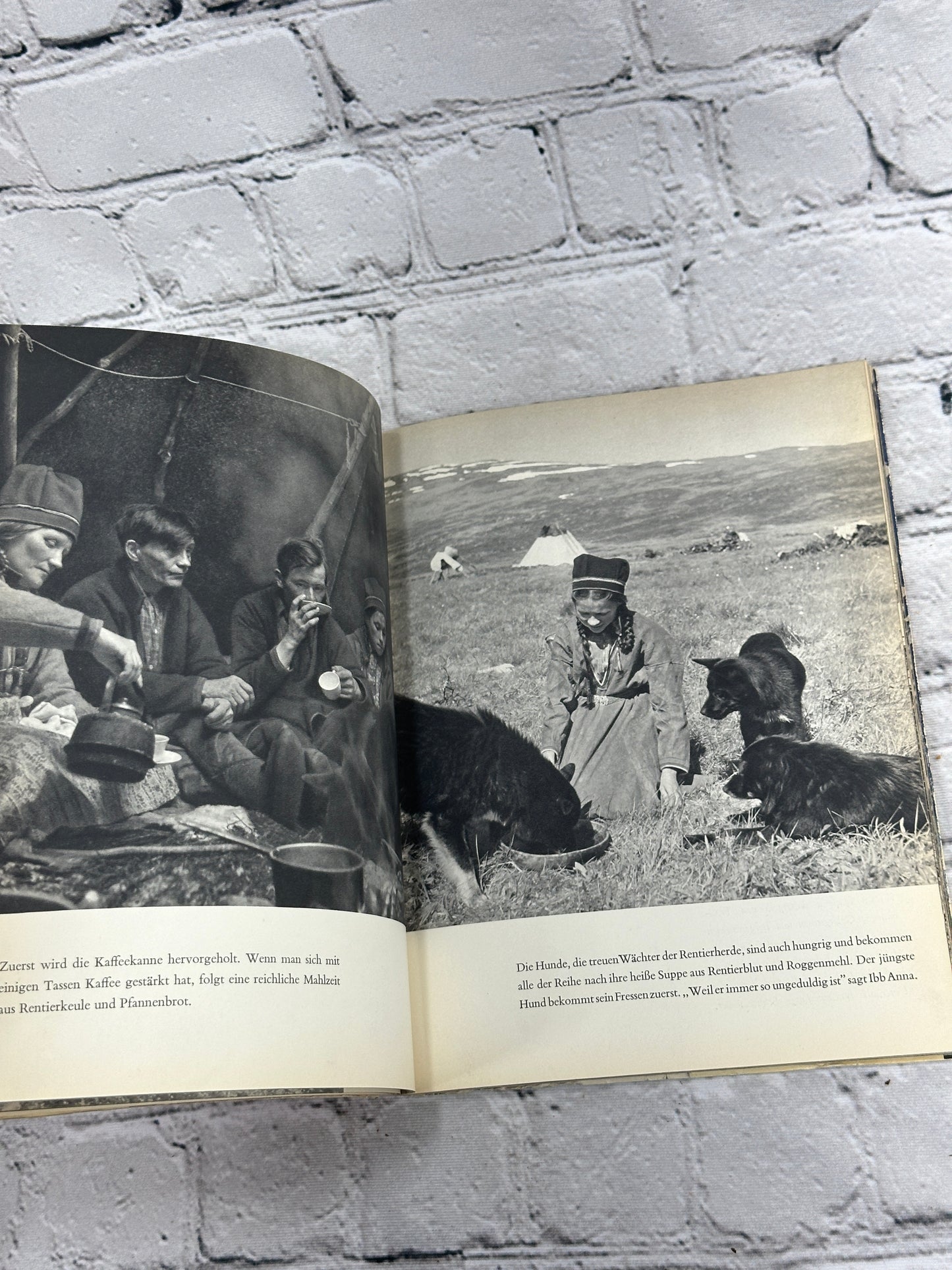 Nomaden des Nordens (Nomads of the North) by Anna Riwkin-Brick & Elly Jannes