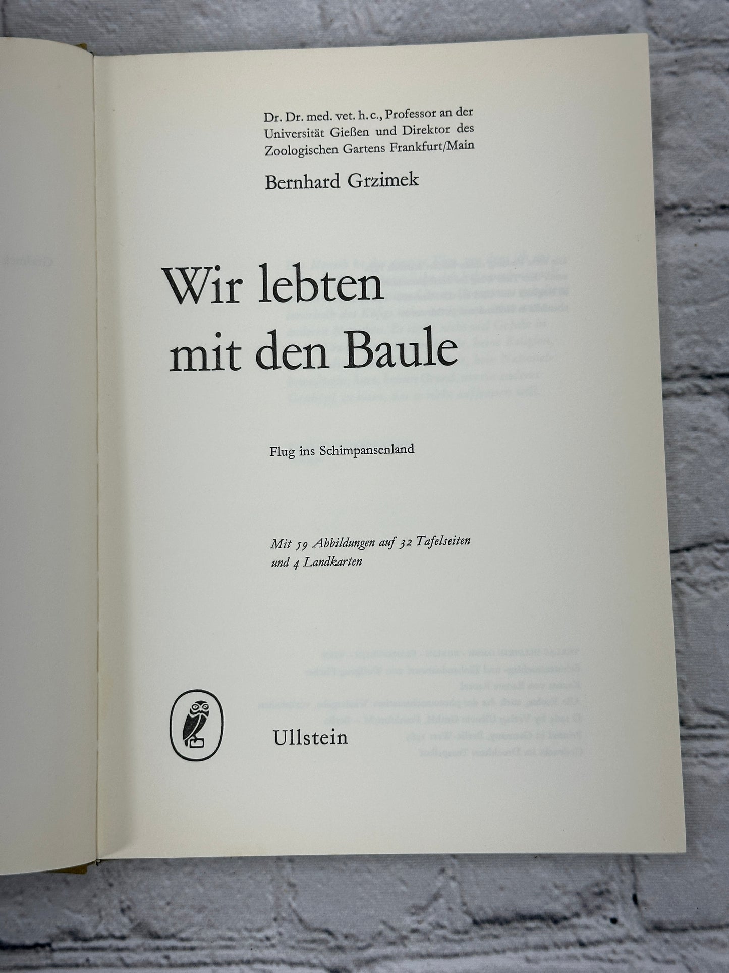 Grzimek Wir lebten mit den Baule Flug ins Schimpansenland [1963 · 1st Edition]