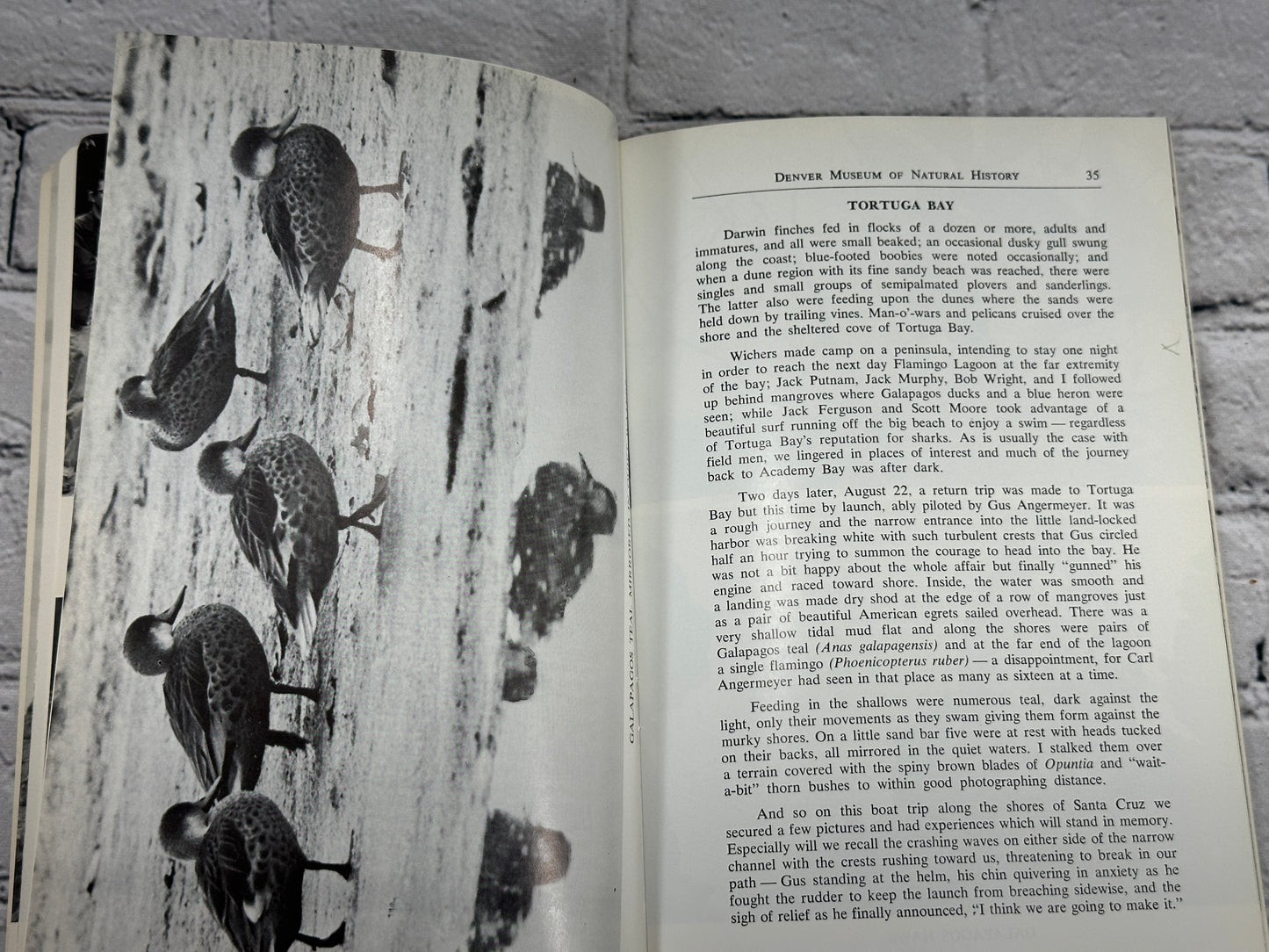 Galapagos Islands Narrative of the 1960 Field Trip By Alfred M. Bailey [1970]