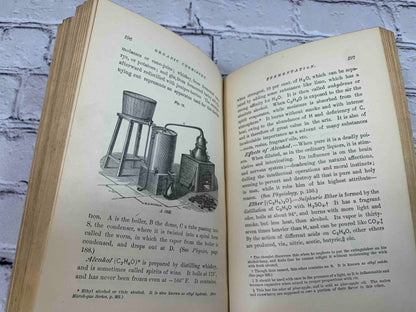 Steles Series in the Natural Sciences: 14 Weeks in Chemistry