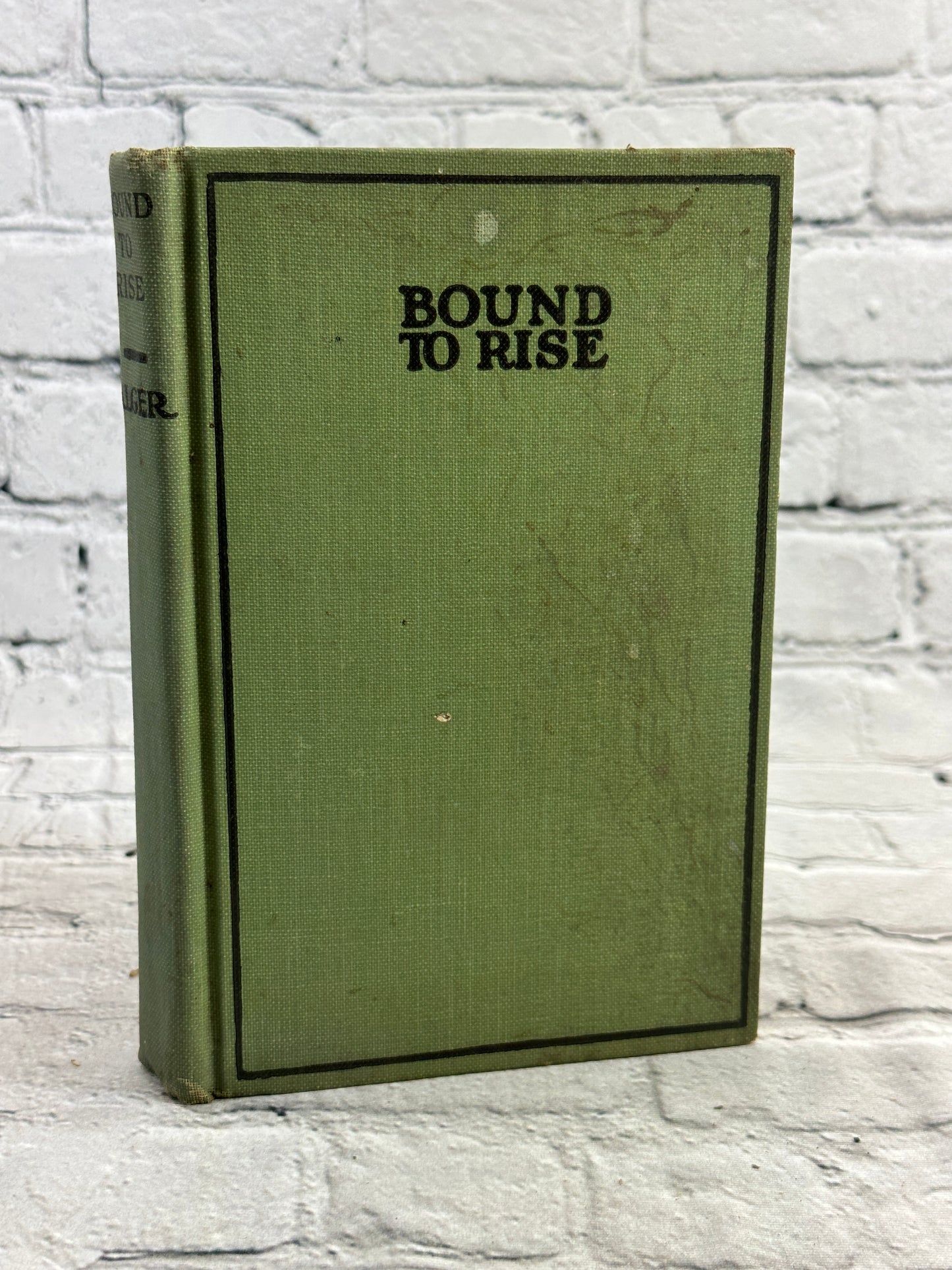 Bound to Rise Or Up The Ladder by Horatio Alger, Jr.