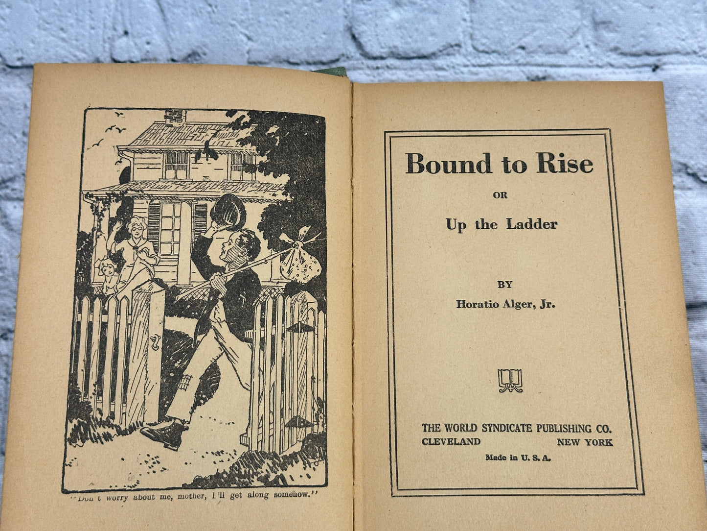 Bound to Rise Or Up The Ladder by Horatio Alger, Jr.