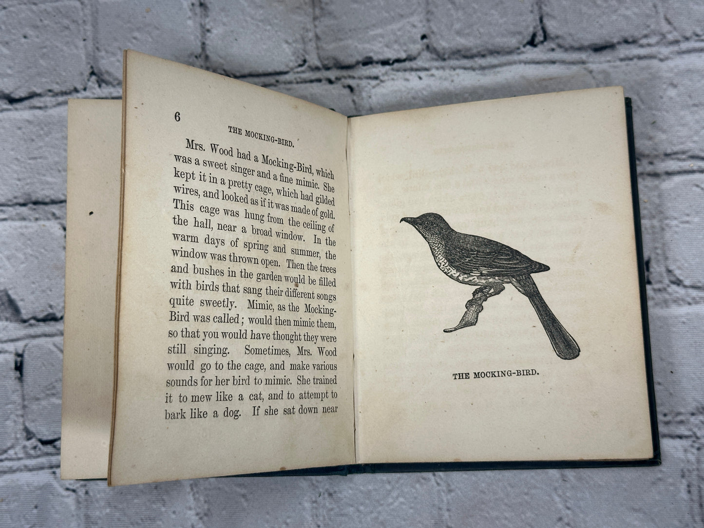 The Mockingbird & Other Stories [Uncle George's Juveniles · 1854]