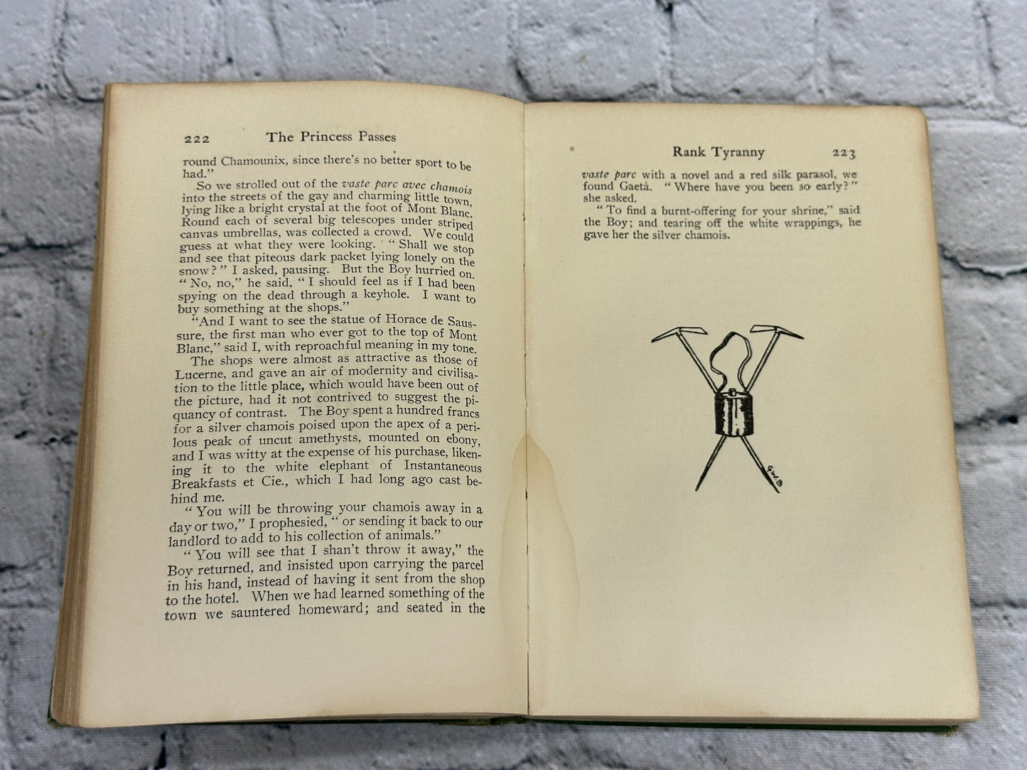 The Princess Passes by C. N. & A. M. Williamson [1905 · First Edition]