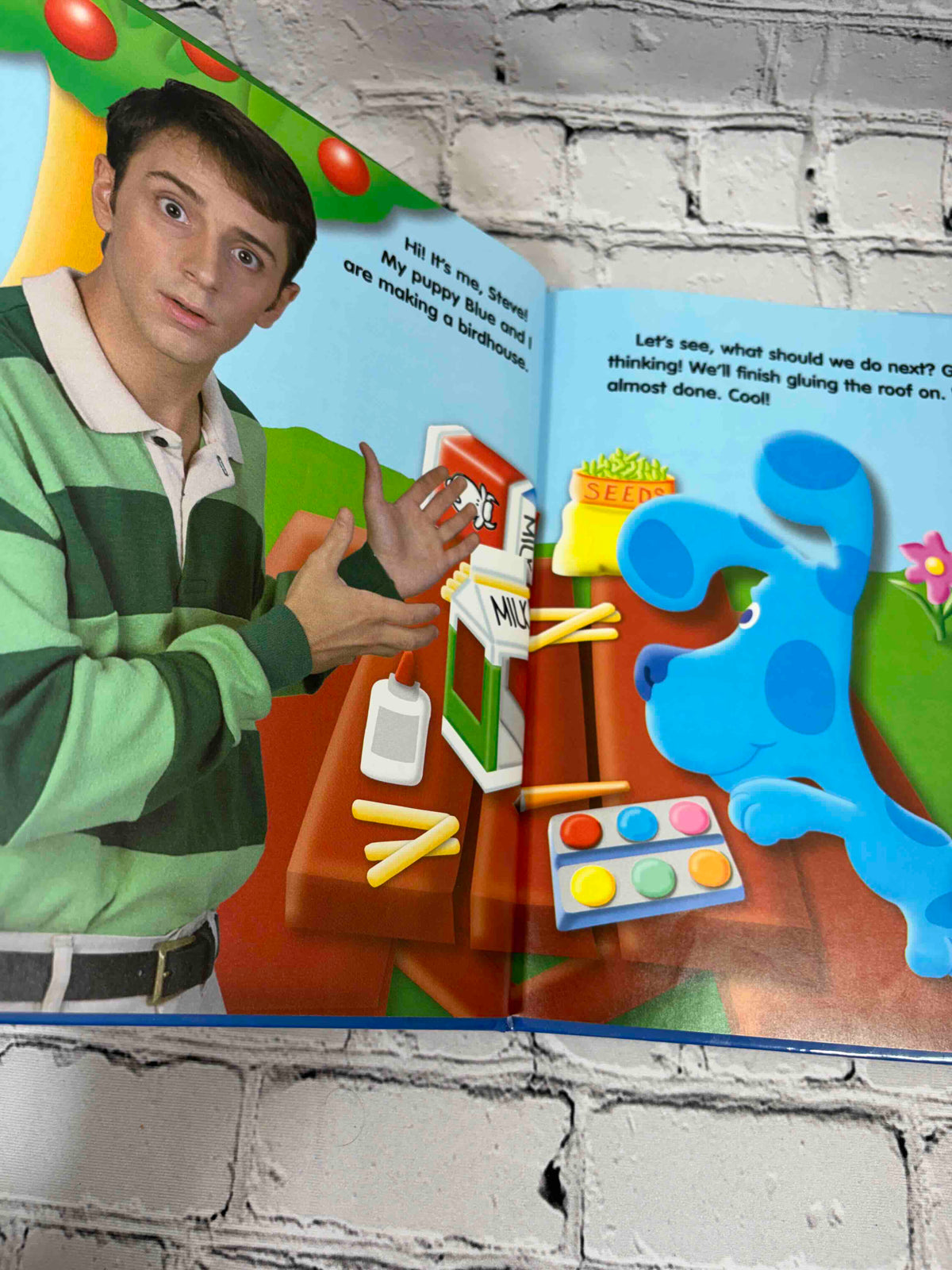 Home Sweet Home, Blue's Clues Discovery Series Book 5 hardcover - interior page