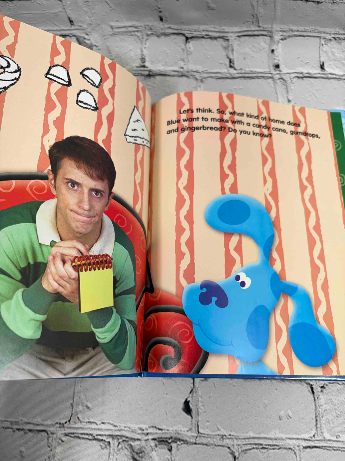 Home Sweet Home, Blue's Clues Discovery Series Book 5 hardcover - interior page