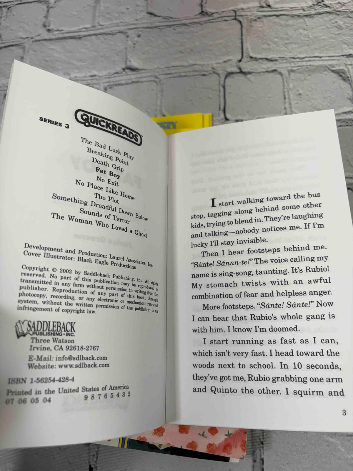 Lot of 12 Saddleback Quickreads paperbacks - copyright page