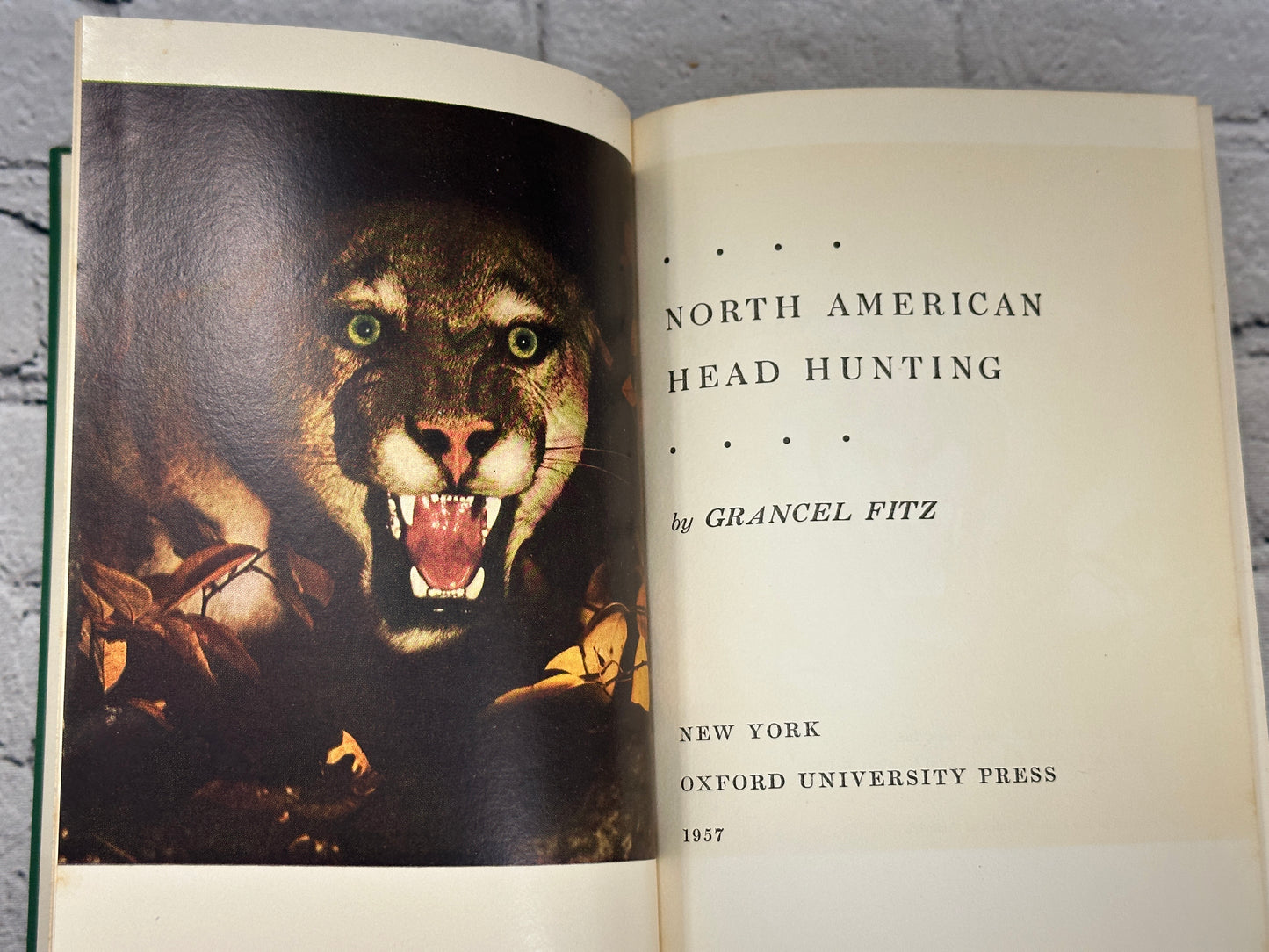 North American Head Hunting by Grancel Fitz [1957 · First Edition]